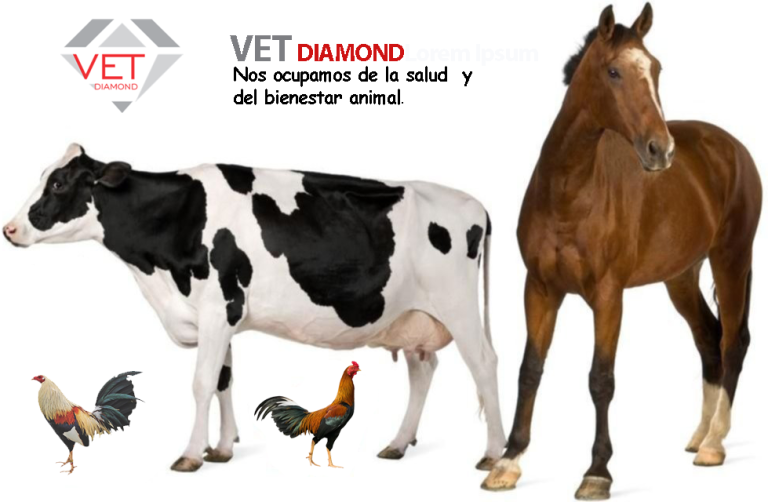 vet diamond promo